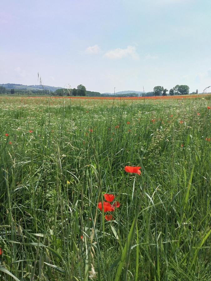 Bio Agriturismo Pratini Monte Lopio Luaran gambar