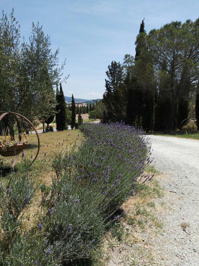 Bio Agriturismo Pratini Monte Lopio Luaran gambar